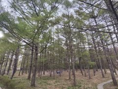 -长春市南湖公园