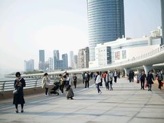 -演武大桥观景平台