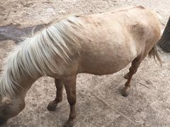 -祥源·阜阳生态乐园