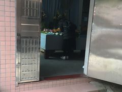 -彩虹桥宠物火化殡葬善终服务(金乐大厦店)