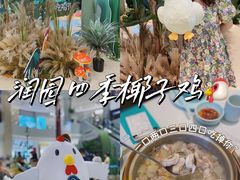 -润园四季椰子鸡火锅(南山海岸城店)