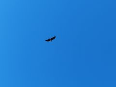 -银树楼(紫玉山庄东区店)