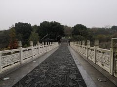 -东湖落雁景区