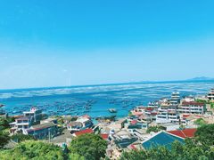 -枸杞岛