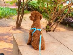 -天宠宠物医院24小时·急重症诊疗中心·全科·腔镜特色(和平分院)