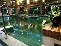 -汉拿山温泉度假酒店