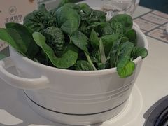 -烹然四季椰子鸡火锅(姚家园万象汇店)