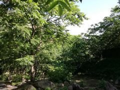 -大岭沟猕猴桃谷风景区