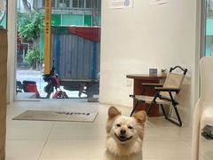 -Oasis coffee燕谷咖啡(公信店)