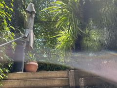 -肴约·花园式餐厅(湖里店)