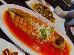 -陈麻婆豆腐(旗舰店)