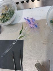 -烬·烧玻璃diy灯工玻璃艺术·银饰工作室