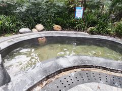 -青城道汤池