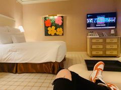 -拉斯维加斯永利酒店