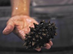 -赤山海景丽呈酒店