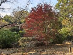 -武汉园博园(武汉自然博物馆)
