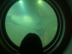 -白鹤梁水下博物馆