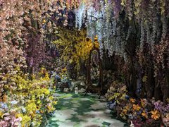 -正佳雨林生态植物园