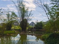 -靖西鹅泉风景区