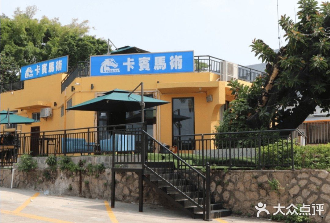 可是今天告诉大家，娃娃也可以培养马术的呢！