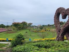 -紫颐香薰山谷景区