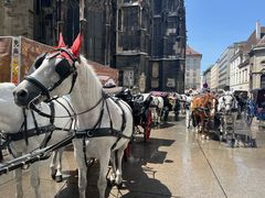 -斯蒂芬主教座堂(Stephansdom)