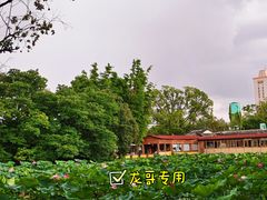 -翠湖公园
