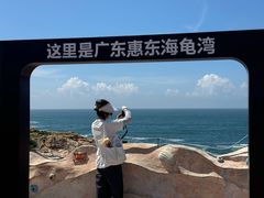 -广东惠东海龟国家级自然保护区