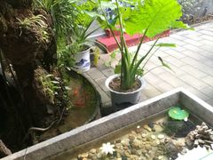 -北京阅微庄四合院文化特色酒店