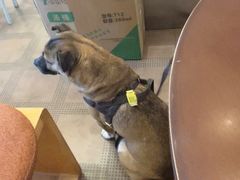 -小团圆糖水铺(襄阳南路店)