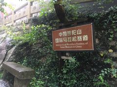 -普陀山慧济禅寺