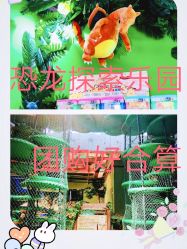 -恐龙探索乐园(磁器口店)