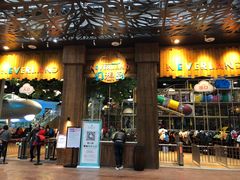 -杭州开元森泊度假乐园