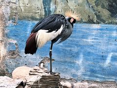-济南野生动物世界