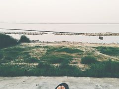 -合肥滨湖国家森林公园