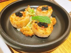 -森Some Fusion(荔湾店)