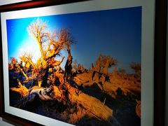 -星光摄影器材城