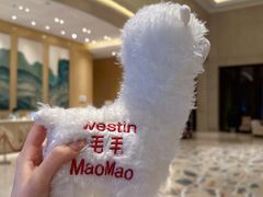 -舟山朱家尖绿城威斯汀度假酒店