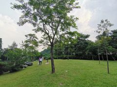 -火炉山森林公园