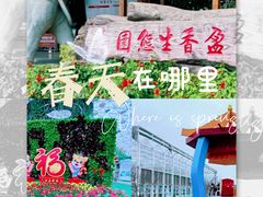 -盈香心动乐园