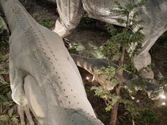 -湖南省地质博物馆