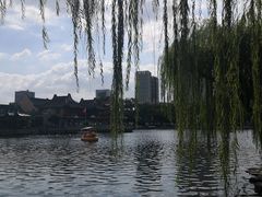 -月湖公园