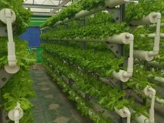 -兰陵国家农业公园