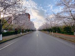 -高东镇樱花园