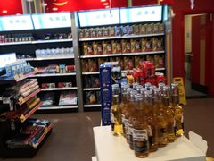 -中化道达尔太阳宫加油站