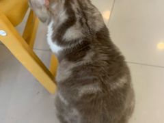 -平行世界·猫咖(首经贸店)