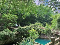 -雁荡山风景名胜区