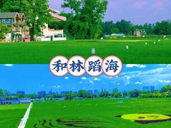 -老鼎万春卤菜(五代传承创始老店)