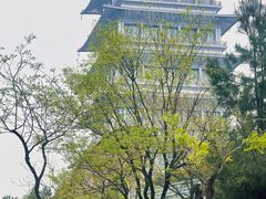 -西安世博园