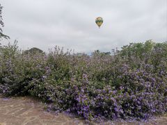 -中国科学院西双版纳热带植物园